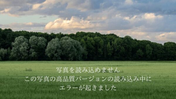 「写真を読み込めません この写真の高品質バージョンの読み込み中にエラーが起きました」の原因と対処方法