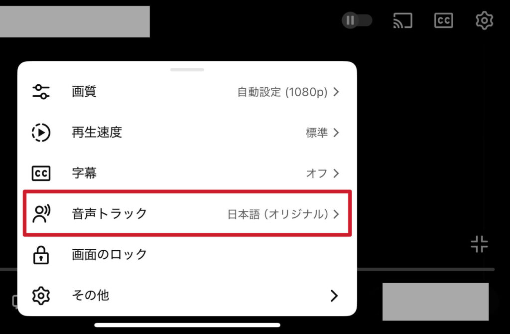 いくつかの項目の中から「音声トラック」があればタップして、お好みの言語に変更してください。